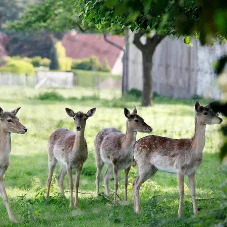 Bauerncafé Und Drostenhof Rees